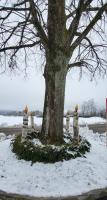 Besonderer Adventkranz / Poseben adventni venec
